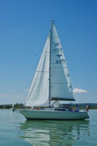 SONY DSC