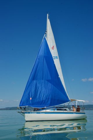 SONY DSC