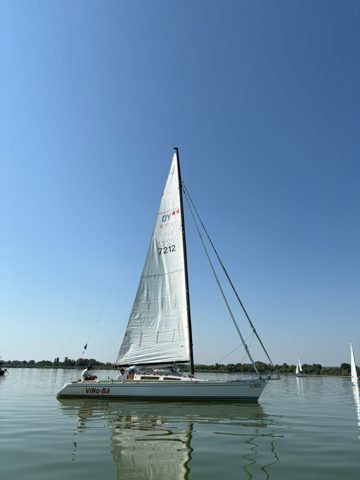 14-ik Mária Kupa